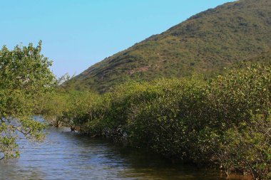 1 Jan 2009 Sheung luk Streaml Hong Kong