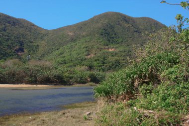 1 Jan 2009 Sheung luk Streaml Hong Kong
