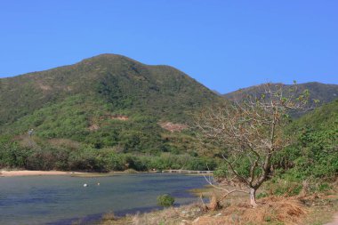 1 Jan 2009 Sheung luk Streaml Hong Kong