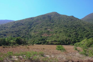 1 Jan 2009 ham Tin Hong Kong