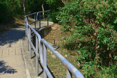 1 Jan 2009 ham Tin Hong Kong