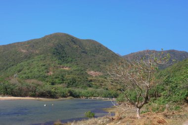 1 Jan 2009 Sai Wan Hong Kong