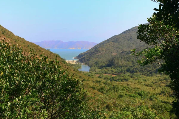 1 Jan 2009 maclehose Cauda hong kong — Fotografia de Stock