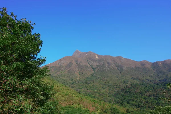 1 jan 2009 maclehose staart Hong Kong — Stockfoto