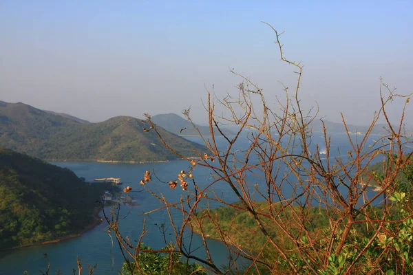 1 Янв 2009 maclehose Хвост Гонконг — стоковое фото