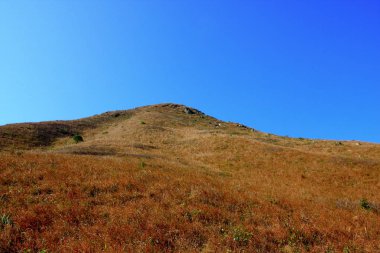 Tung Wan Shan, Mai Fan Teng hk doğa 