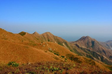 Tung Wan Shan, Mai Fan Teng hk doğa 