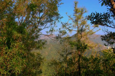 18 Jan 2009 MacLeod Hose Trail Hong Kong