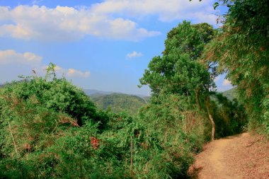 18 Oca 2009 Akciğer Yan Yol hk