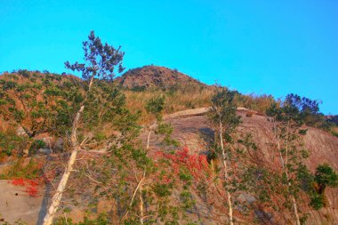 18 Jan 2009 MacLeod Hose Trail Hong Kong