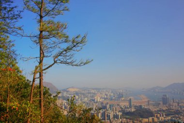 Kowloon Maclehose Trail hong kong görünümü