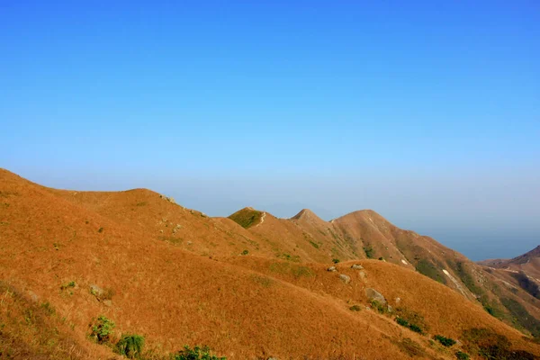 Tung Wan Shan, Mai Fan Teng hk nature — стокове фото