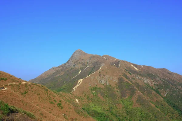 1 Jan 2009 Nam She Tsim hong kong — Stock Photo, Image