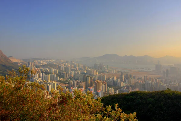 18 Jan 2009 orta Kowloon şehir scape