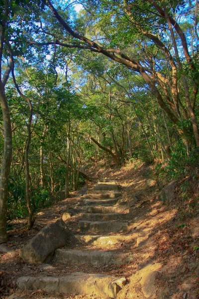 18 sty 2009 Maclehose Trail Hong Kong — Zdjęcie stockowe