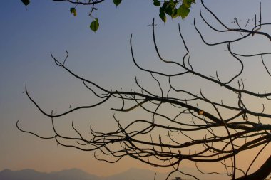 MacLeod Hose Trail Hong Kong inanılmaz gündoğumu