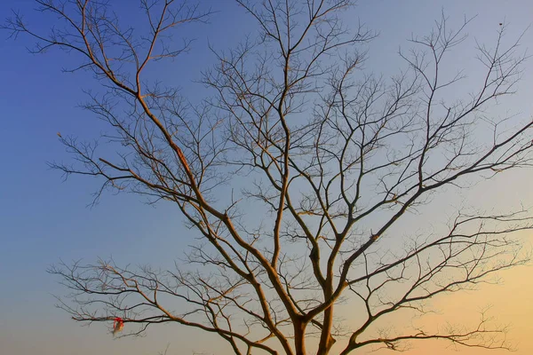 Atemberaubender Sonnenaufgang auf dem makellosen Pfad hong kong — Stockfoto