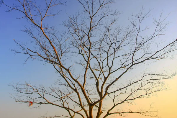 Nascer do sol incrível no Maclehose Trail hong kong — Fotografia de Stock