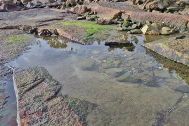 Lei Yue Mun sahil yolu üzerinde sürüş