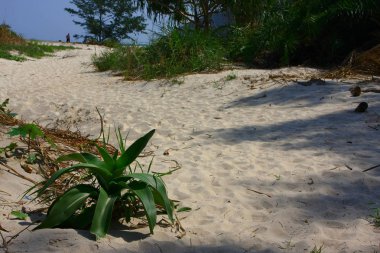 Long ke WAN Plajı mükemmel bir tatil kaçamağı