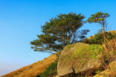 9 Şub 2009 Tai Mo Shan hk