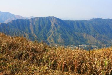 9 Şub 2009 Tai Mo Shan hk