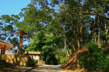 Tai Mo Shan 9 Şubat 2009 doğa