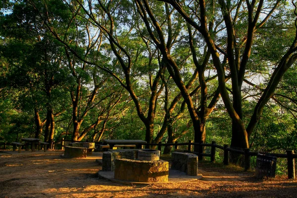 9 Şubat 2009 akşam parkı. Gün batımında park et. — Stok fotoğraf