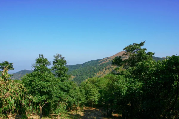 9 Fev 2009 natureza em Tai Mo Shan — Fotografia de Stock