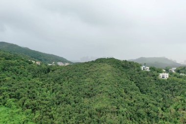 Pik Sha wan sai kung 18 Haziran 2019