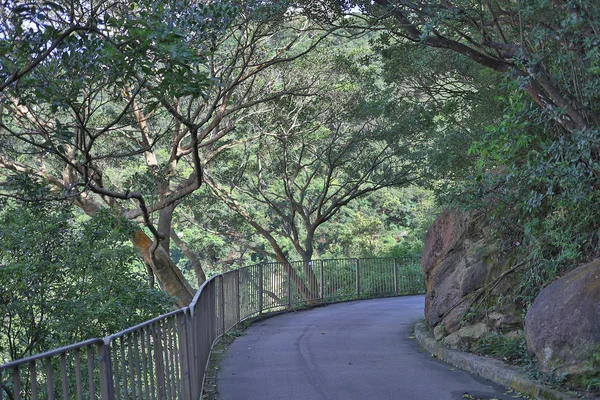 Bowen Road Fitness Trail 1 July 2019 — Stock Photo, Image