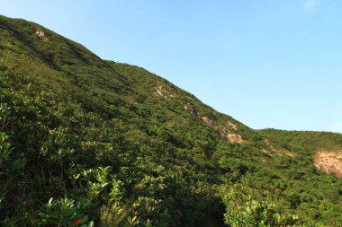 Tai Tam Country Park 31 eki 2009