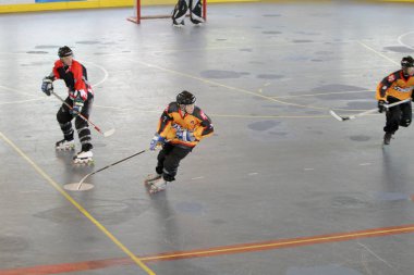  2009 hk kış çim hokeyi maçı