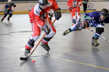 2009 hk bir çim hokeyi maçı 