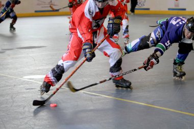 2009 hk bir çim hokeyi maçı 