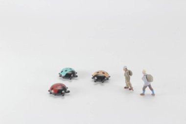 şekil bir mini böcek yakalamak