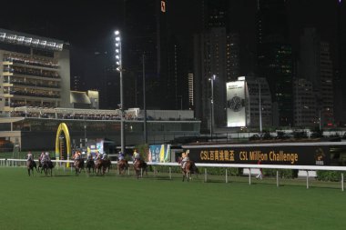 Happy Valley Racecourse yarış atı 