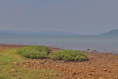 Hong Kong'daki Nai Chung Çakıl Plajı 