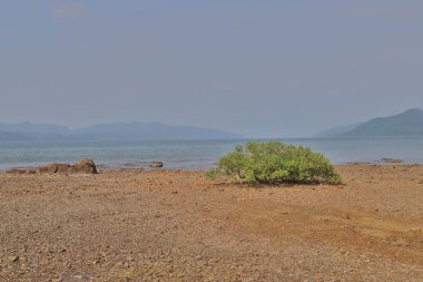Hong Kong'daki Nai Chung Çakıl Plajı 