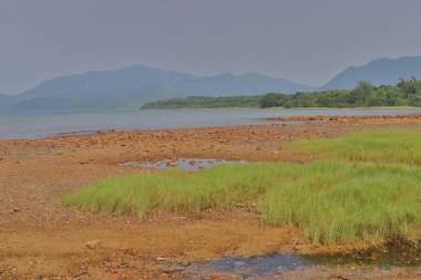 Hong Kong'daki Nai Chung Çakıl Plajı 
