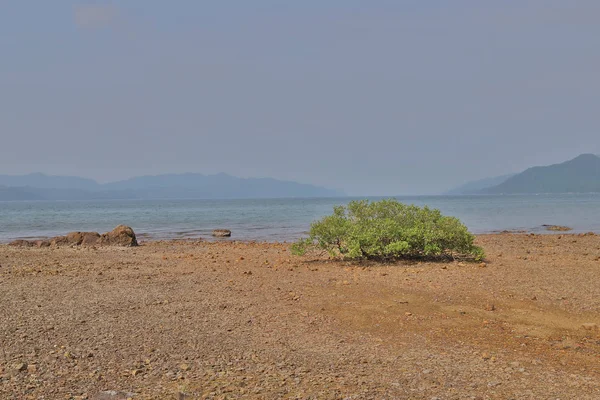 Hong Kong'daki Nai Chung Çakıl Plajı 