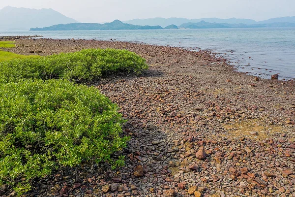 Hong Kong'da Nai Chung nehir ağzı
