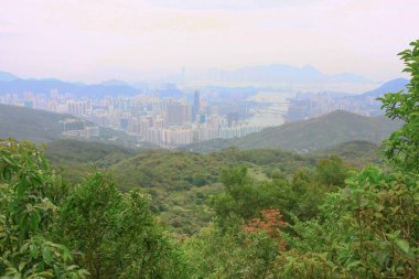 Tai Mo Shan Ülke Parkı hong kong 