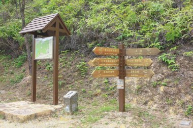 Yeşil ağaçlar arka planda tabela yönlü oklar 