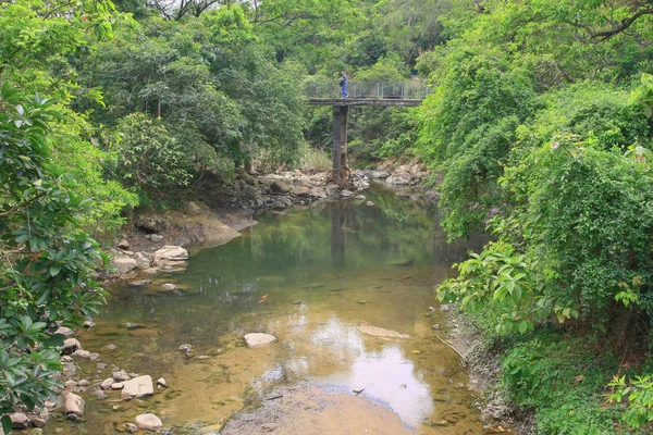 Mountain stream stroomt in een berg rivier HK — Stockfoto