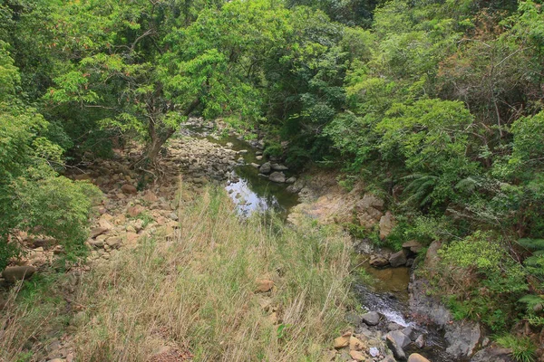 Mountain stream flowing into a mountain river hk — Stock Photo, Image