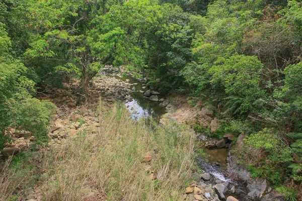 Corrente de montanha que flui em um rio de montanha hk — Fotografia de Stock