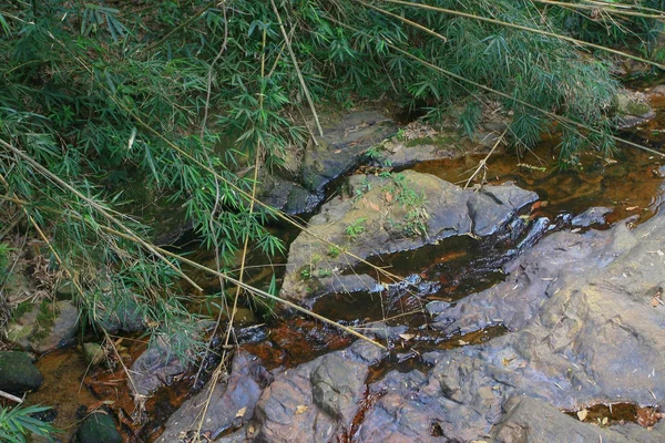 Gebirgsbach fließt in einen Gebirgsfluss hk — Stockfoto