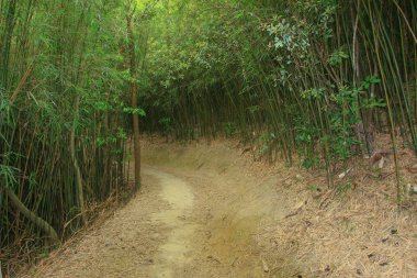 10 Nisan 2009 Tai Lam Ülke Parkı