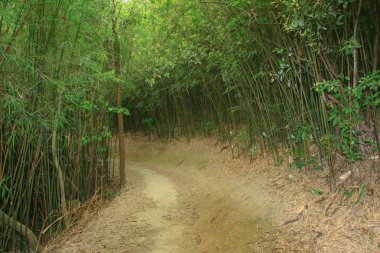 10 Nisan 2009 Tai Lam Ülke Parkı